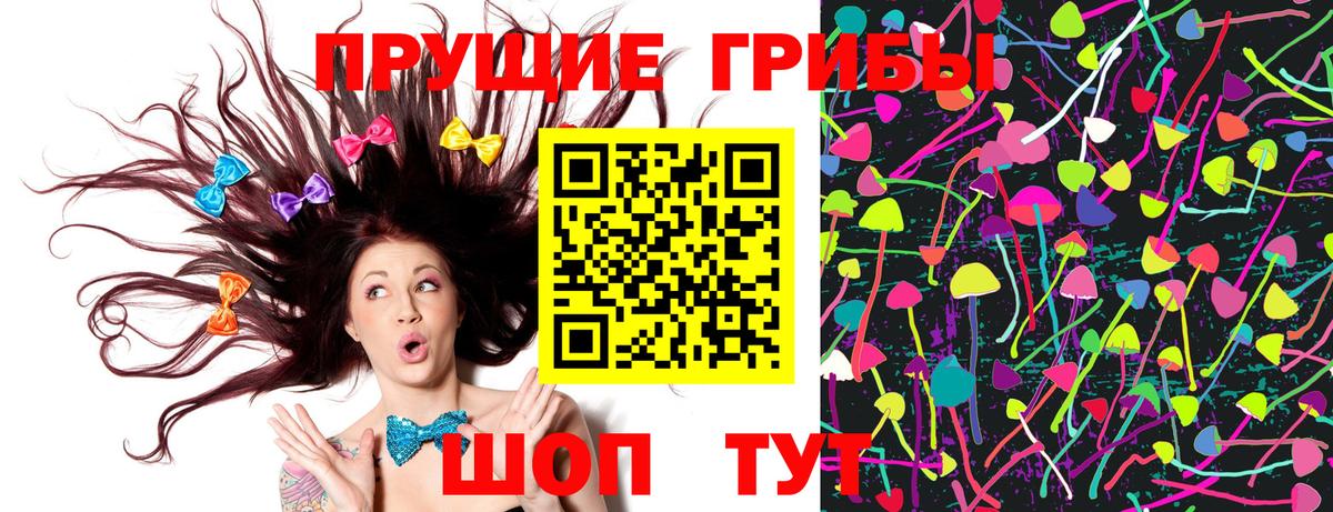Псилоцибиновые грибы мицелий  Вход с VPN  где продают наркотики  Губкинский  Псилоцибиновые грибы Psilocybe 